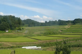 新潟県